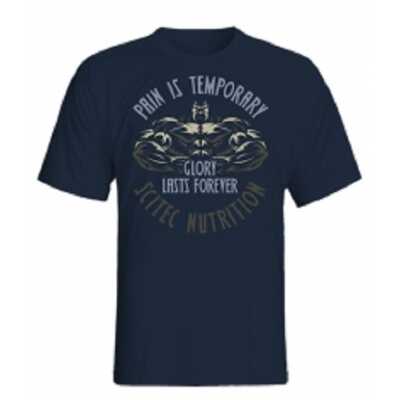 Scitec T-Shirt "Pain Is Temporary" blau L